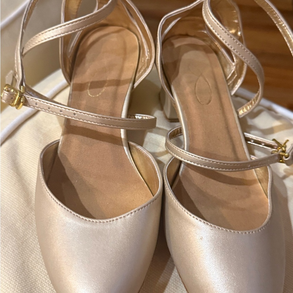 Carolina Shag Shoes
Designed for Dancers by Dancers
Ankle-Strap Flats